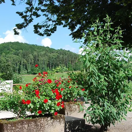 Tatil Evi Les Maisons De Concasty